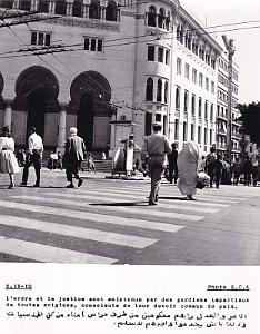 Algerie propagande 091